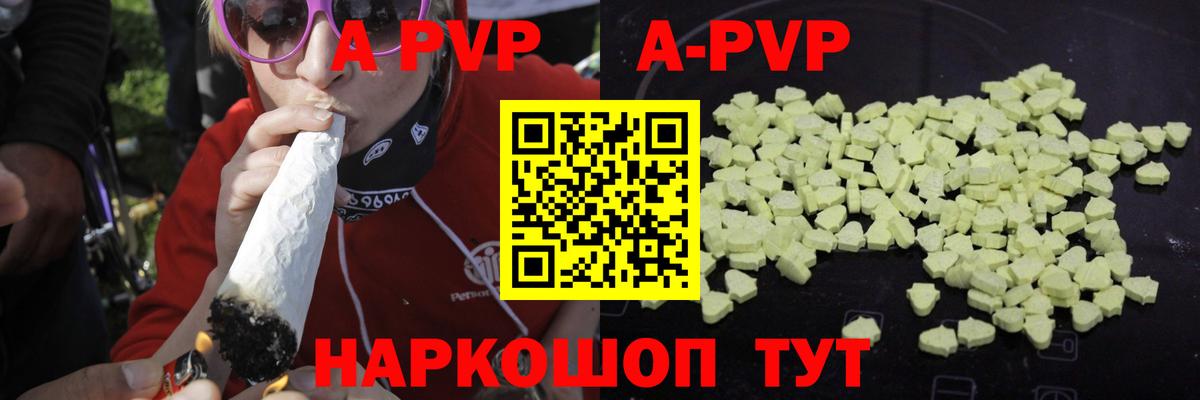 A PVP СК КРИС Нижний Новгород