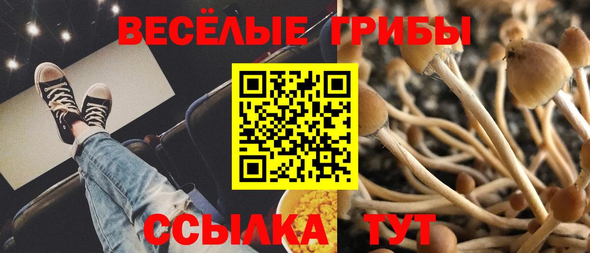 Псилоцибиновые грибы мухоморы  Псилоцибиновые грибы GOLDEN TEACHER  Вход с VPN  Нижний Новгород 
